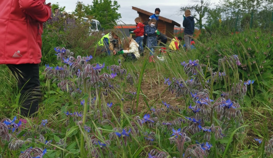 Matinée jardinage au Sivom