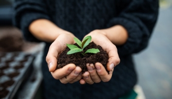 Comment obtenir un bon compost ? 