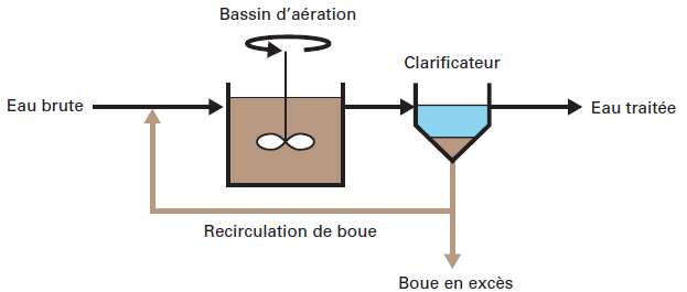 types et configurations des reacteurs de boues activees